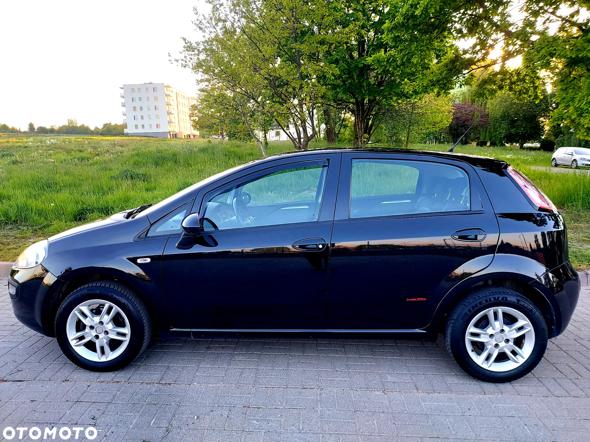 Fiat Punto Evo 1.4 8V Dynamic - 21