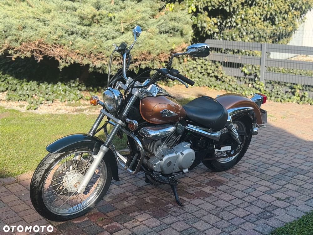 Suzuki Intruder - 9