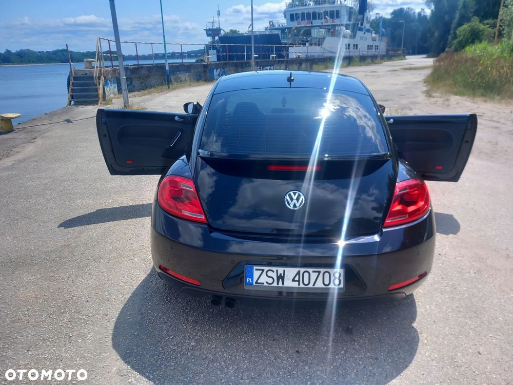 Volkswagen Beetle - 10
