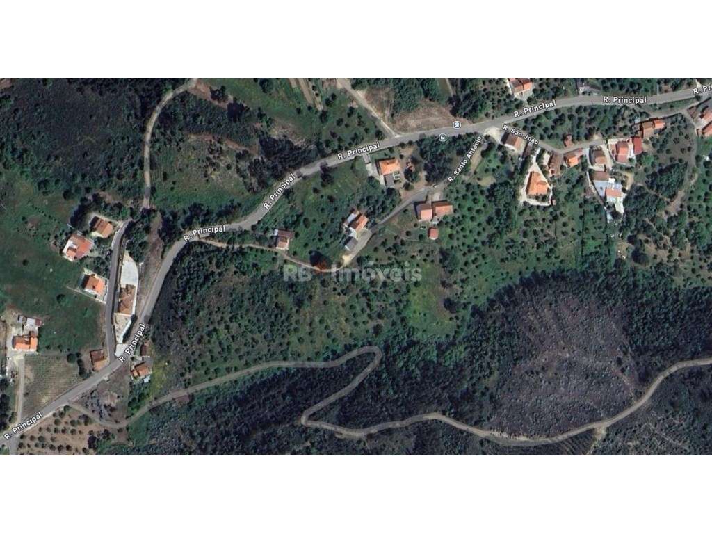 Terreno rústico com 6280m² - Pero Calvo, Tomar - Grande imagem: 2/14