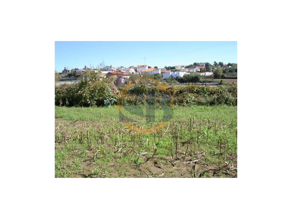 Terreno Mosteirô - Grande imagem: 4/6