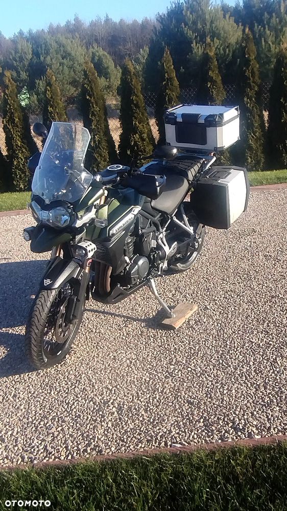 Triumph Tiger - 4