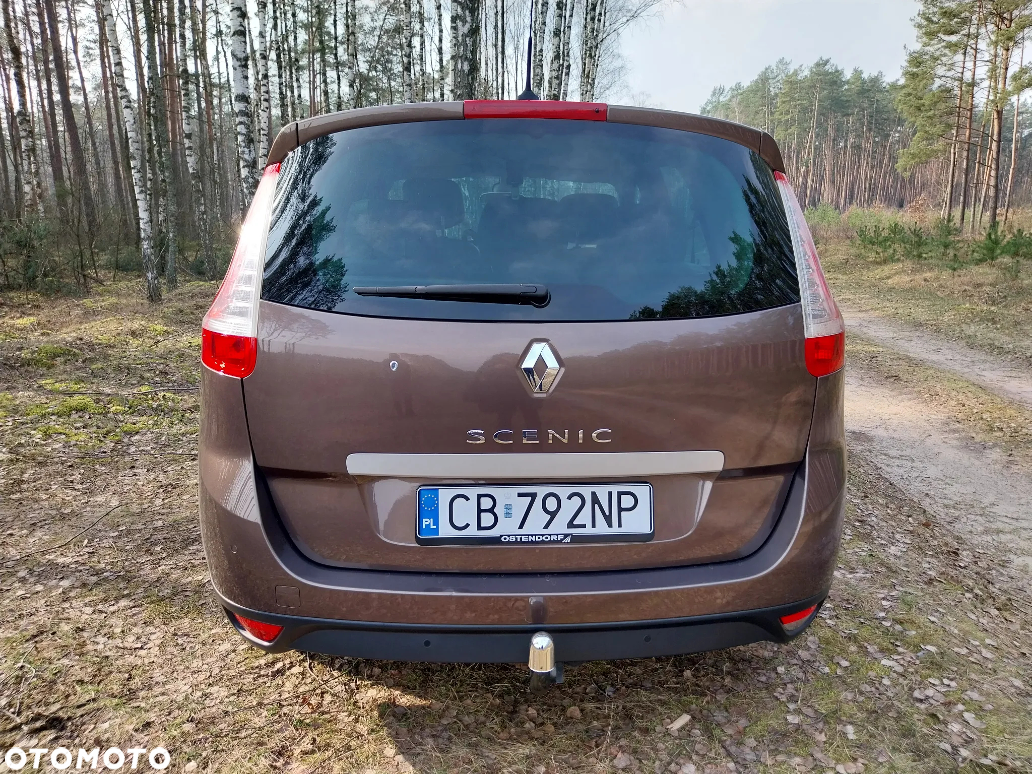 Renault Scenic - 10