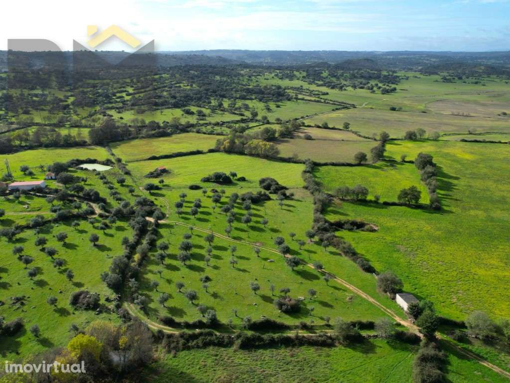 Quinta com 3ha em Oledo, Idanha-a-Nova - Grande imagem: 2/30