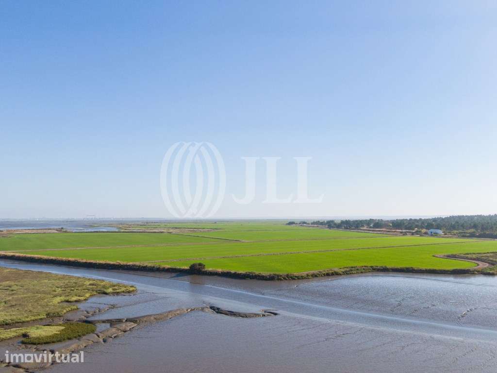 Terreno com projeto para de moradia, Comporta - Grande imagem: 4/13