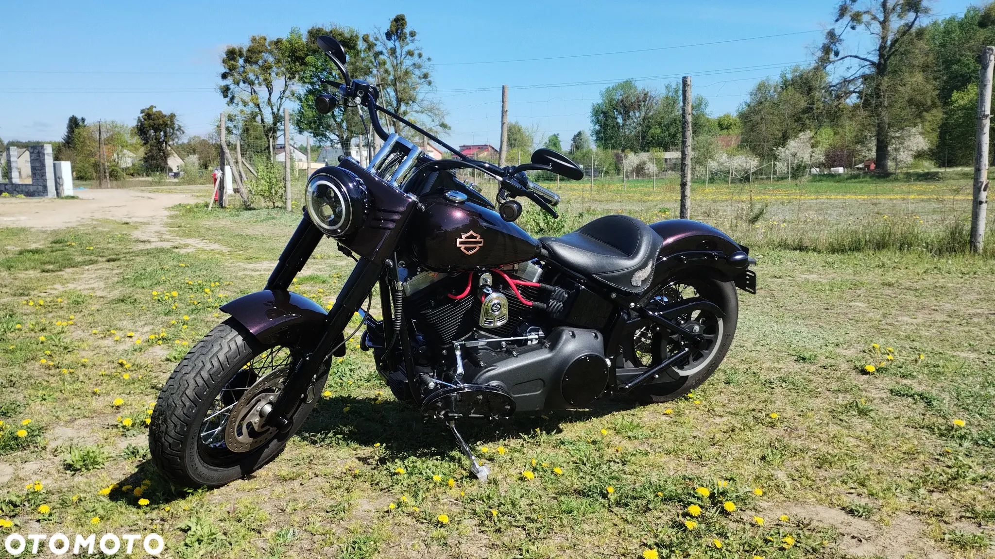 Harley-Davidson Softail Slim - 1