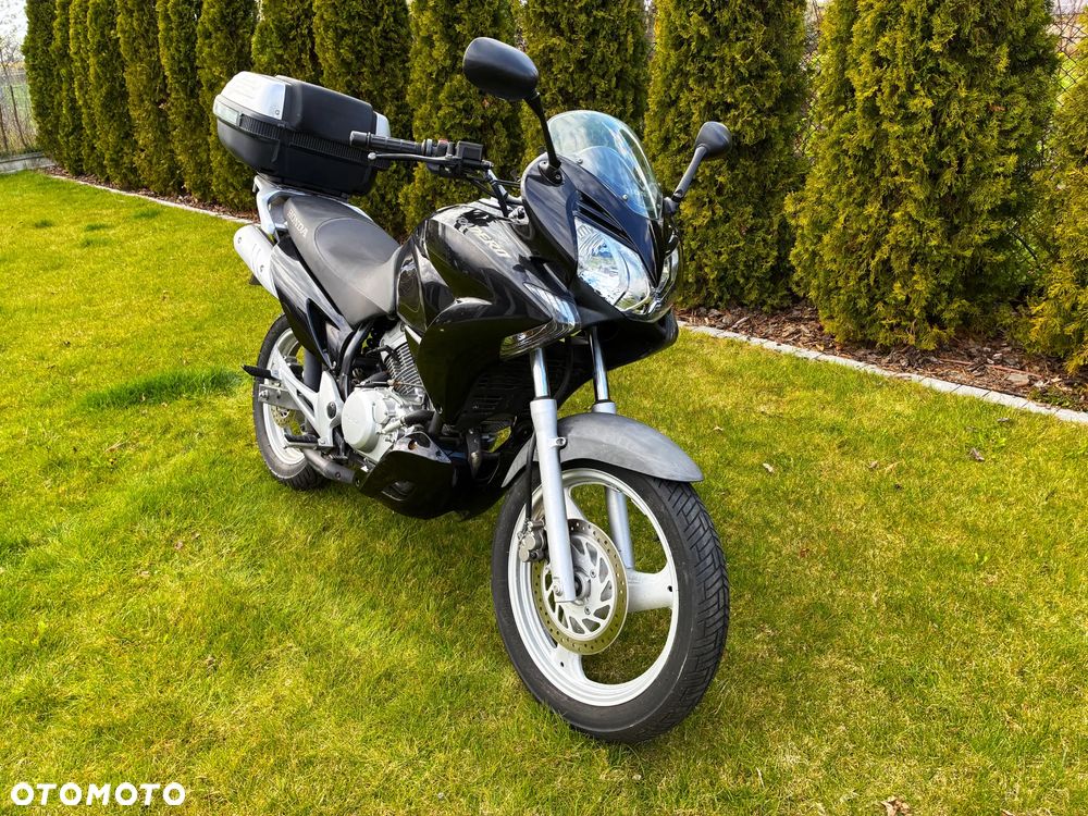 Honda Varadero - 11