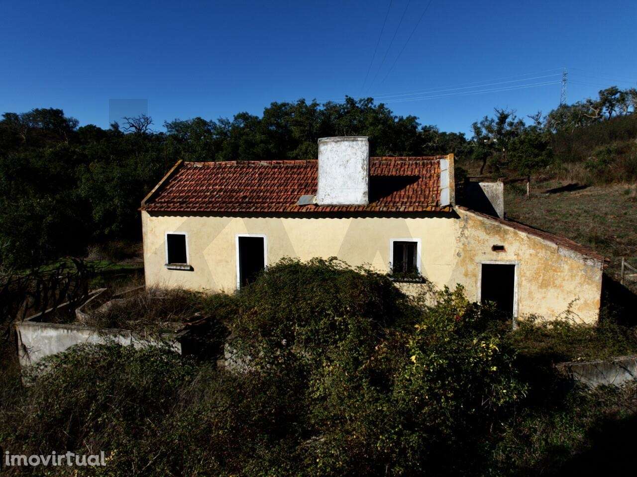 Monte da Figueirinha Nova com 3 ha e habitação em S. Bartolomeu da Ser - Grande imagem: 3/17