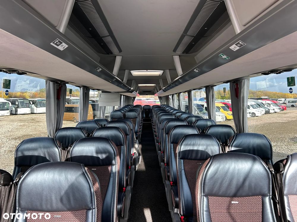 MAN LIONS COACH - 14