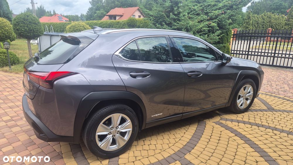Lexus UX 250h Business Edition - 6