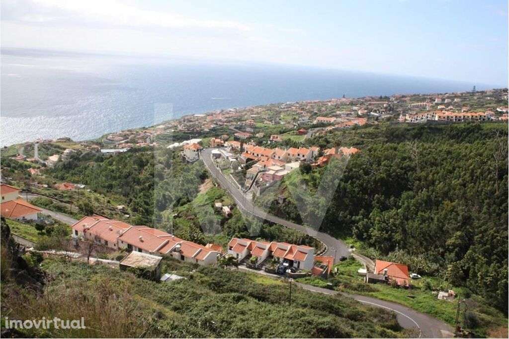 Terreno para construção situado em Gaula, Santa Cruz com 2940 m2 | Opo - Grande imagem: 2/9