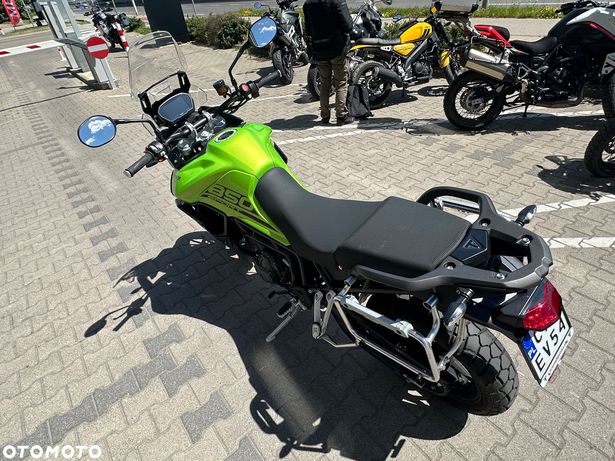 Triumph Tiger