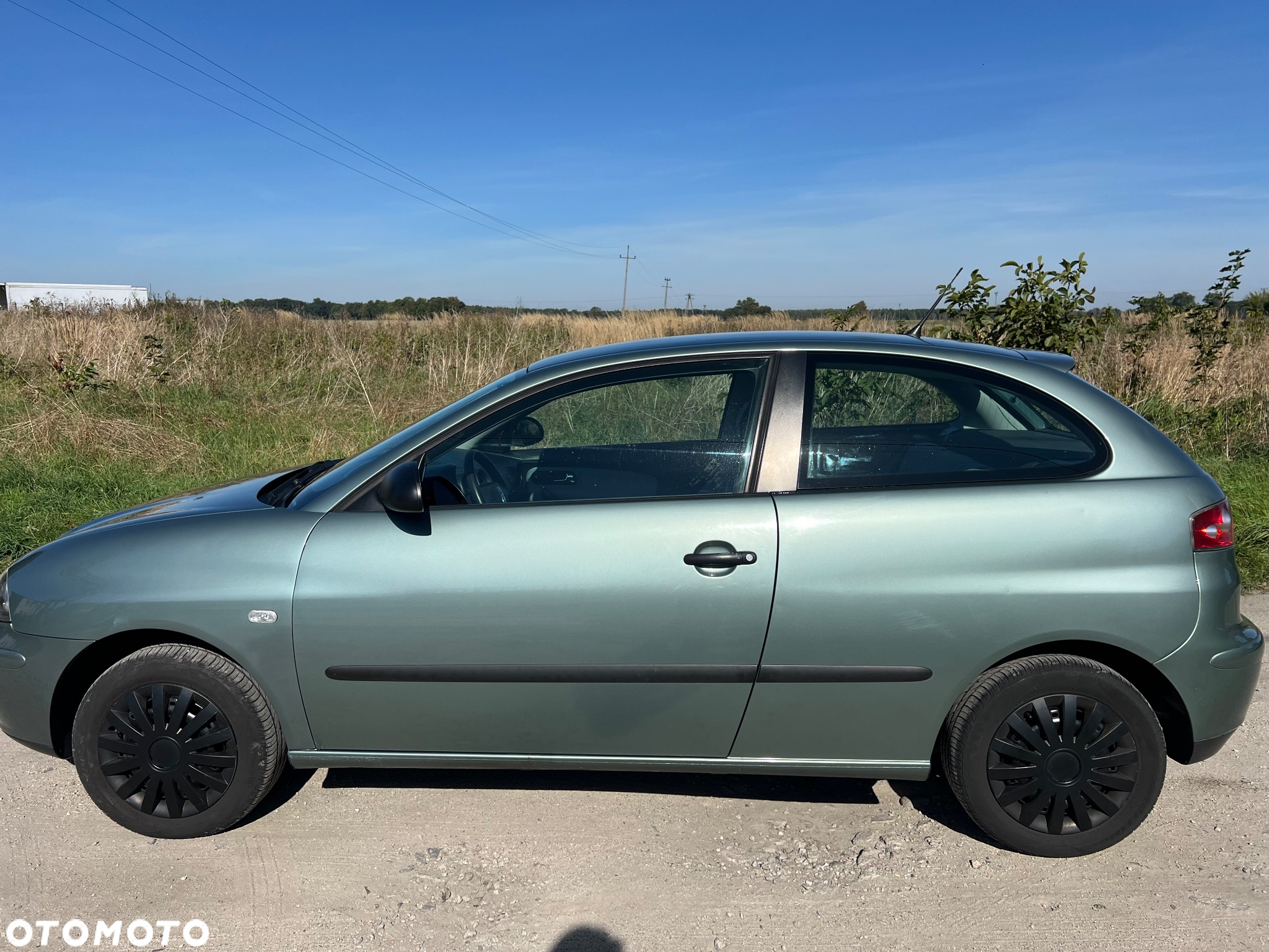Seat Ibiza - 5