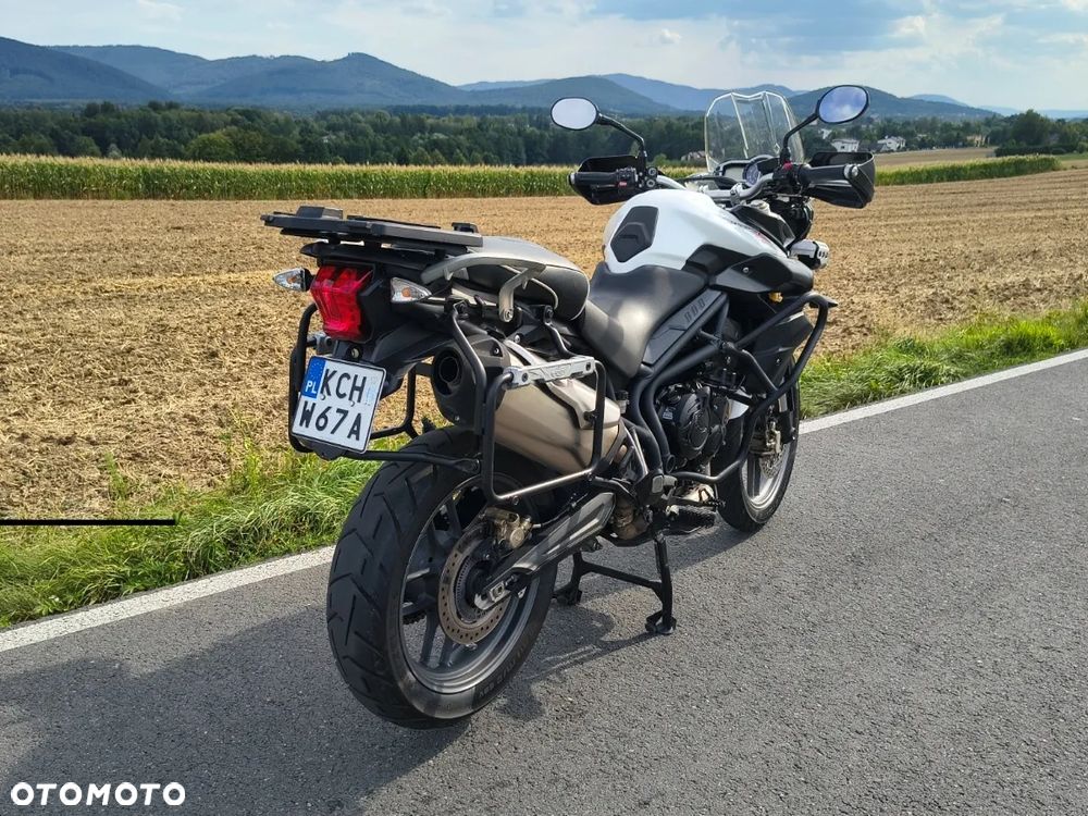 Triumph Tiger - 22