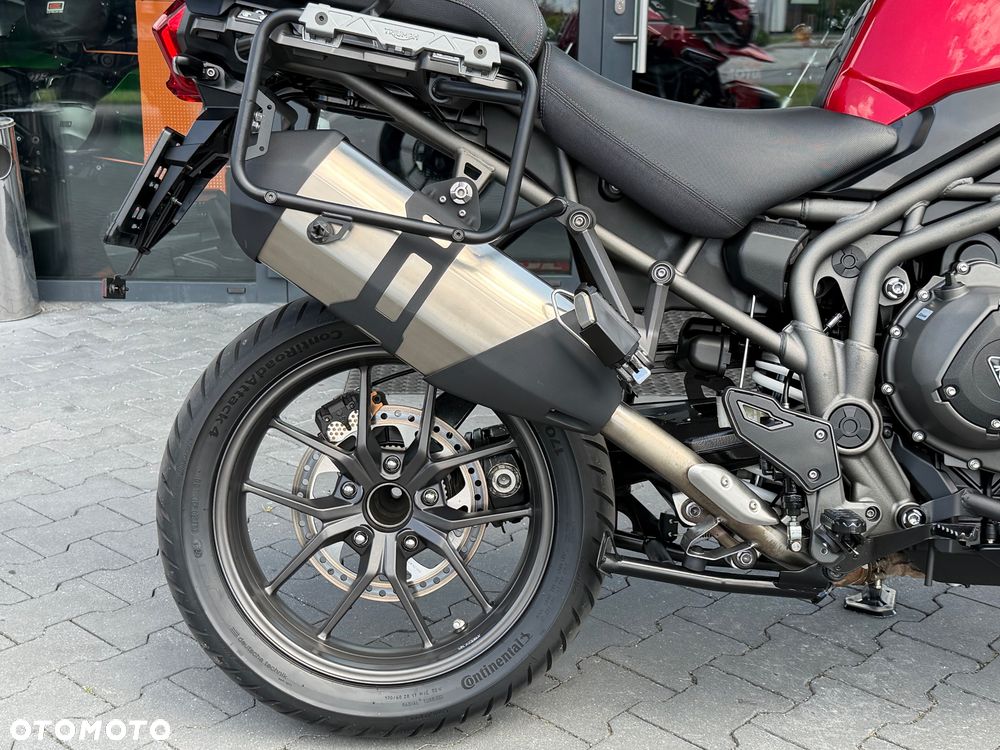 Triumph Tiger - 6