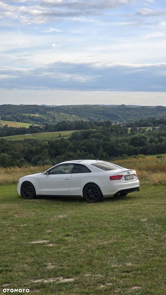 Audi S5 2010 photo 3