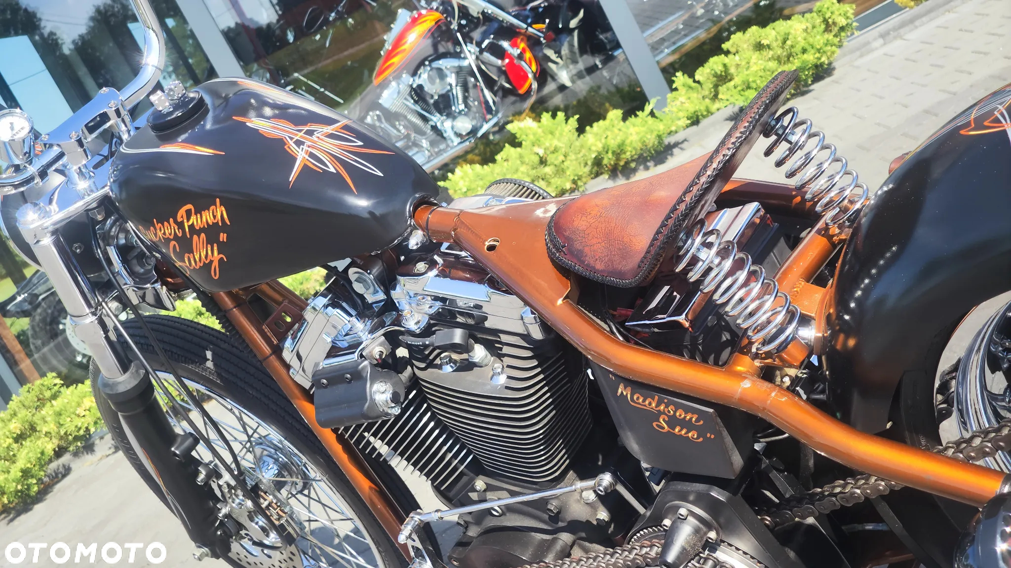Harley-Davidson Softail - 8
