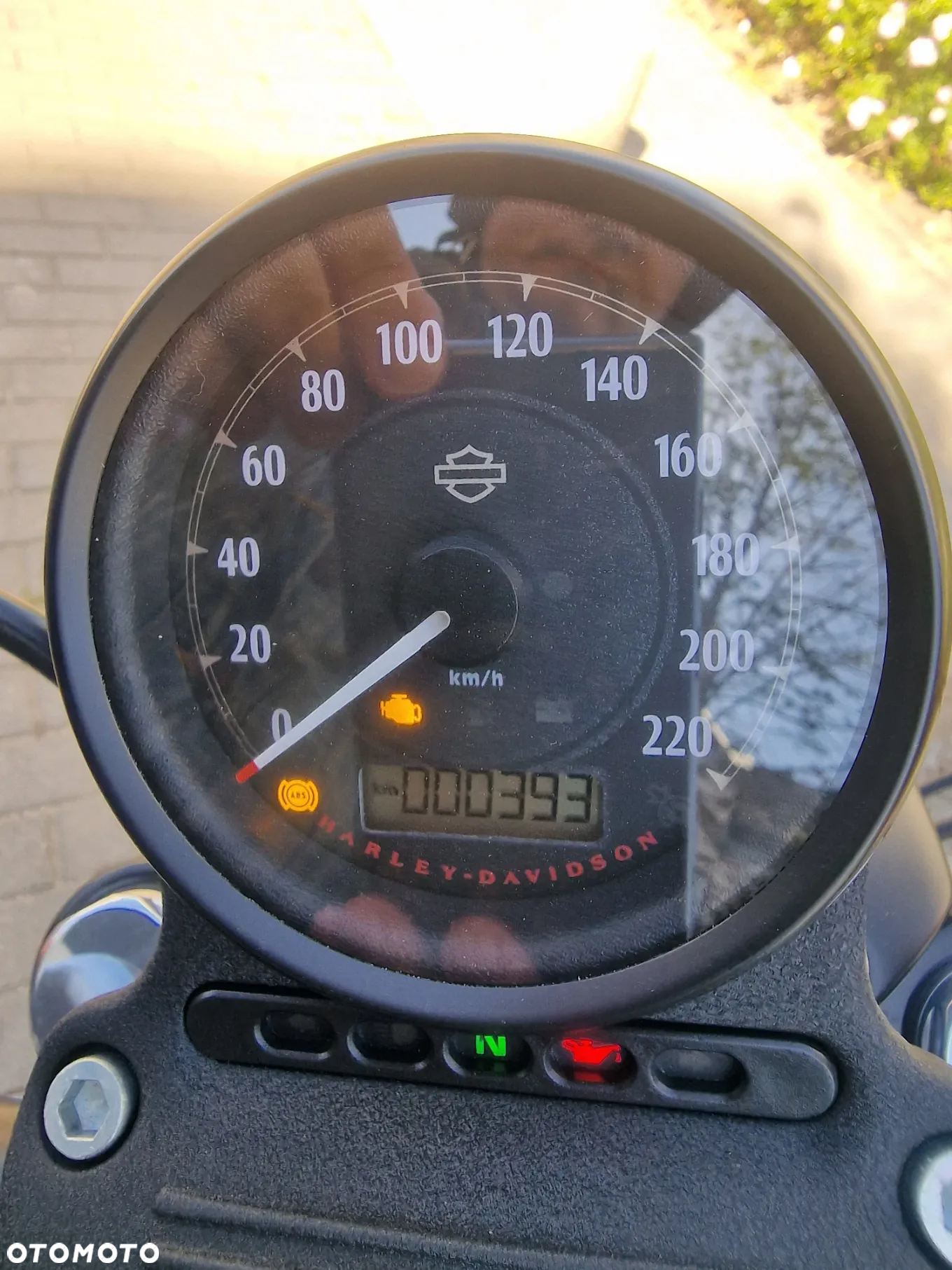 Harley-Davidson Sportster Iron 883 - 15