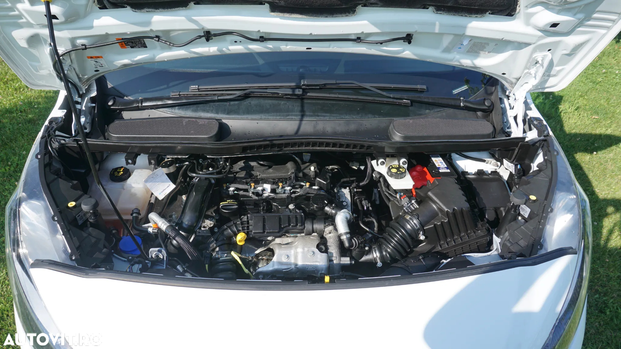 Ford Transit Connect - 23