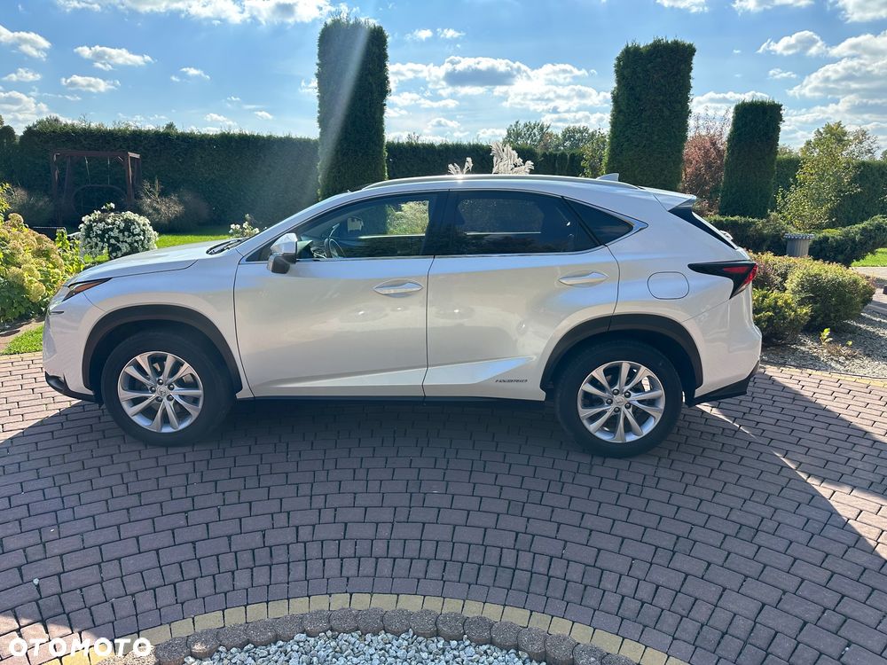 Lexus NX - 10