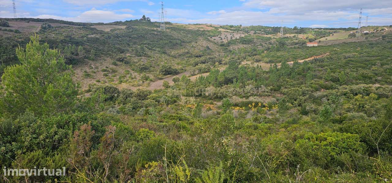 Terreno em Loures: 14.240m² com Vista Campestre e Frutais - Grande imagem: 4/14