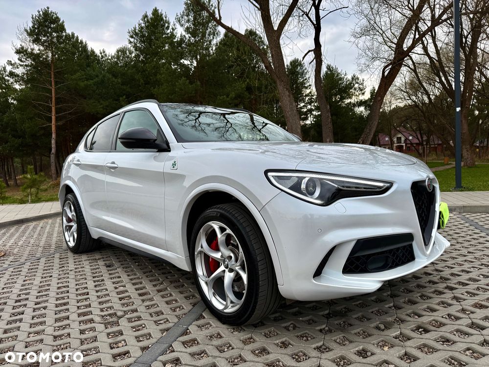 Alfa Romeo Stelvio 2.9 V6 Bi-Turbo Quadrifoglio Q4 - 14