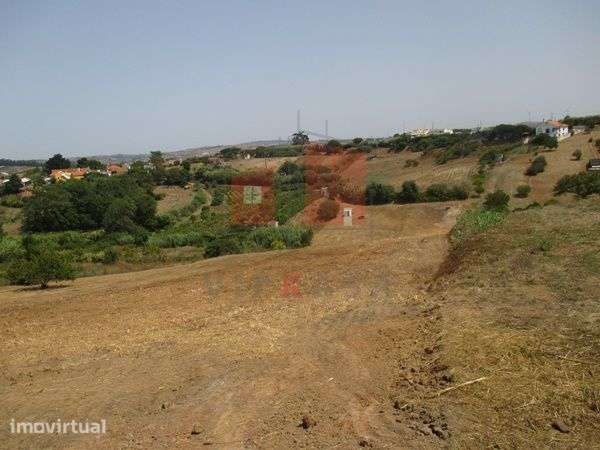 Terreno Rústico de 8062 m2 em Lombas – Gradil - Grande imagem: 2/11