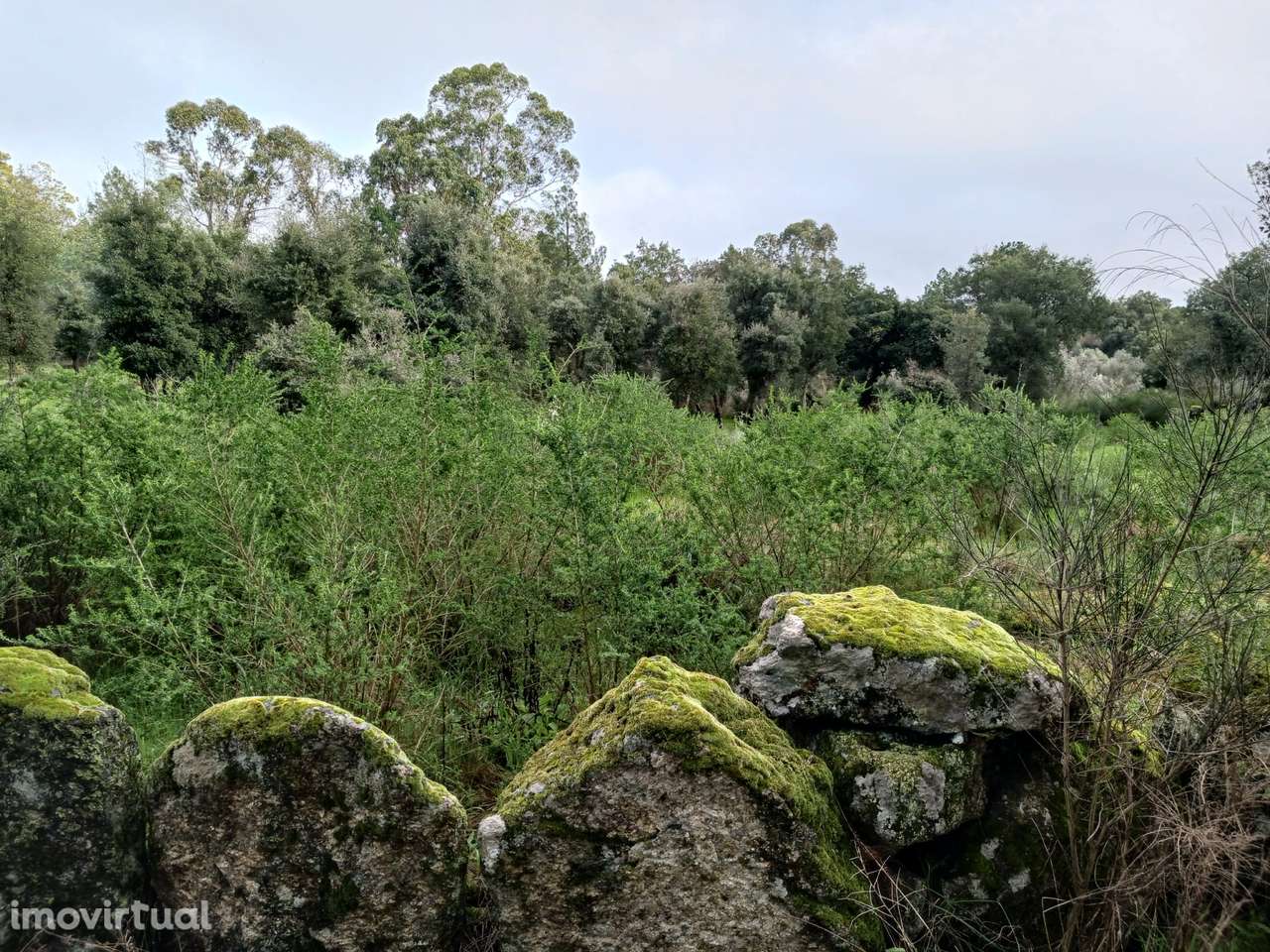 Quintinha - Grande imagem: 2/13