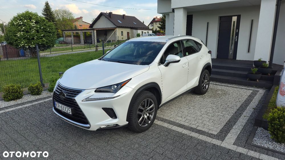 Lexus NX 300 Business Edition AWD - 2