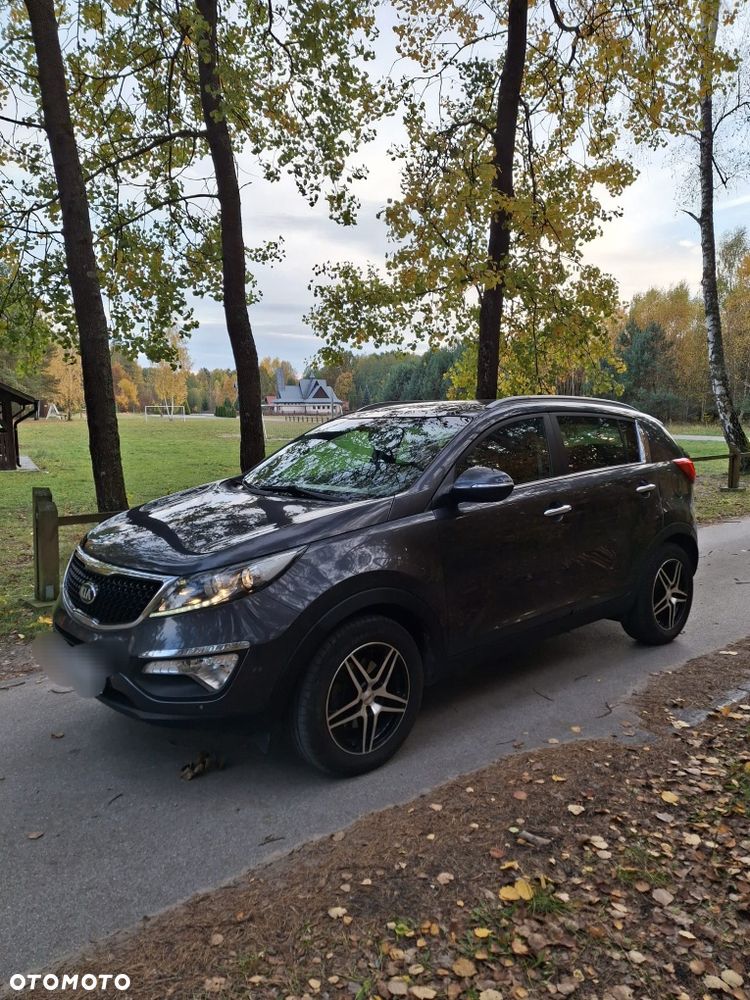 Kia Sportage - 1