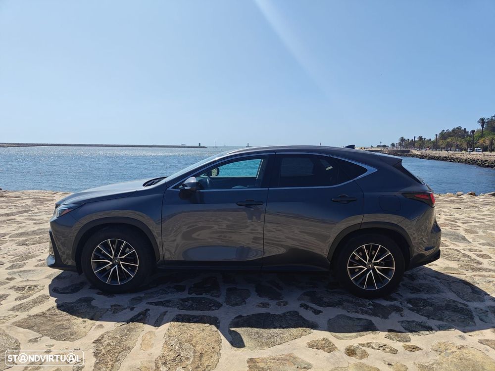 Lexus NX 450h+ Executive - 4