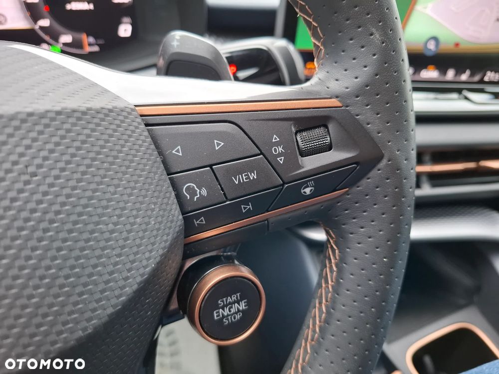 Cupra Terramar - 20