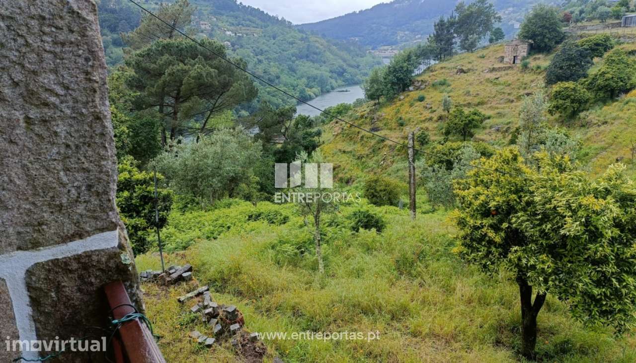 Venda de Quintinha, São Lourenço do Douro Marco de Canaveses - Grande imagem: 2/43