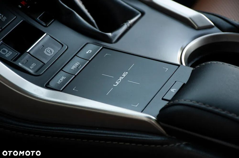 Lexus NX 300 AWD - 22