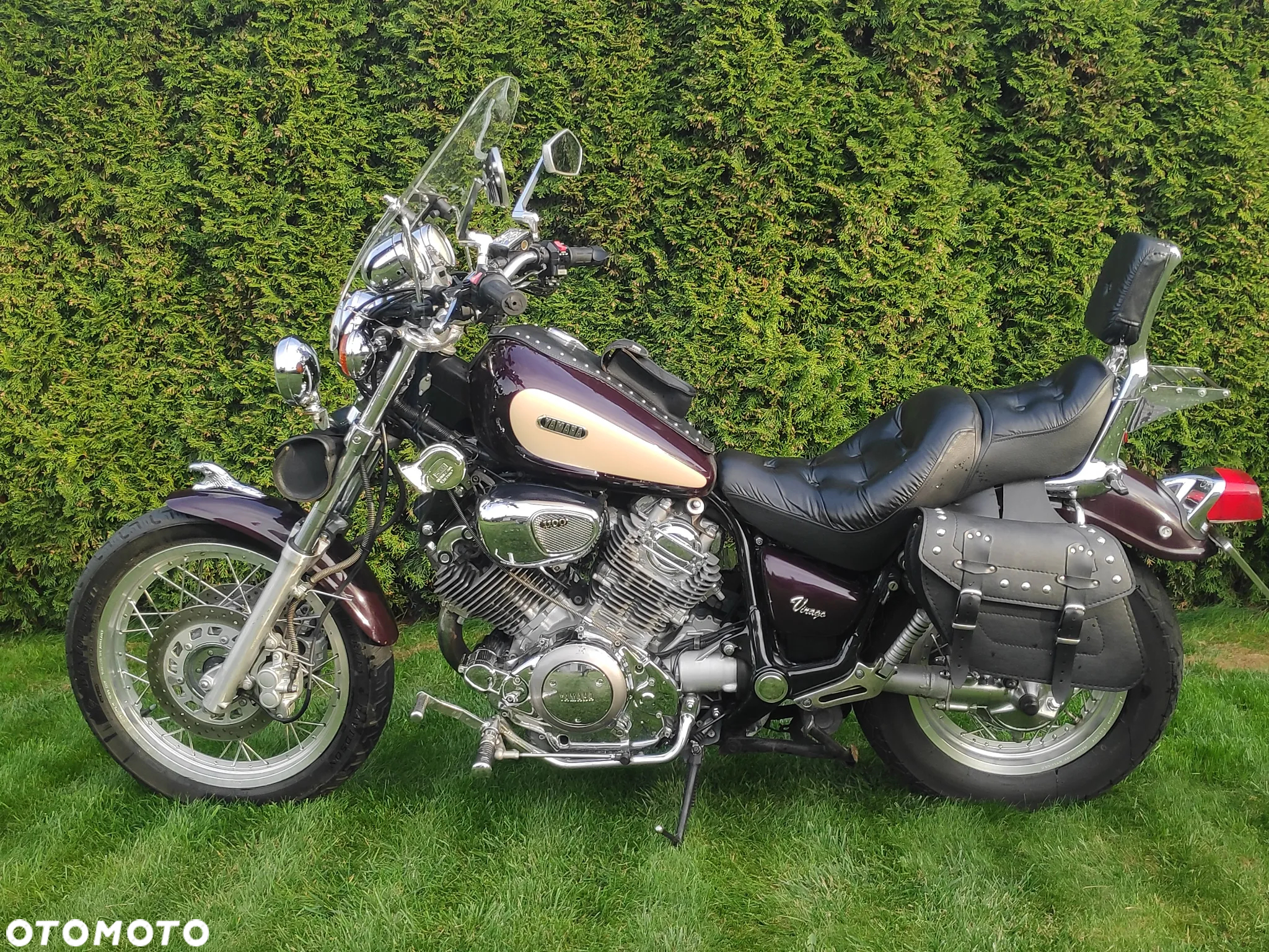 Yamaha Virago - 25