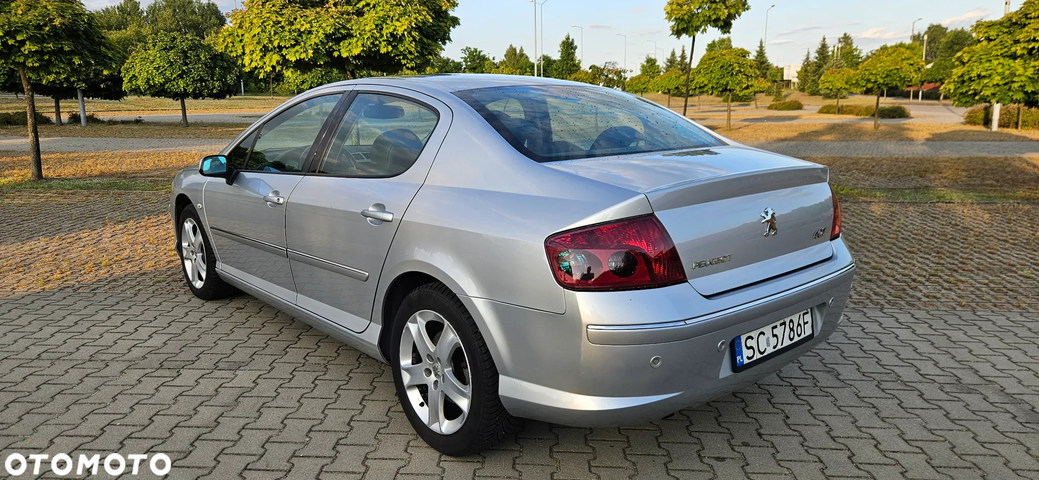 Peugeot 407 2.0 HDi Premium - 6