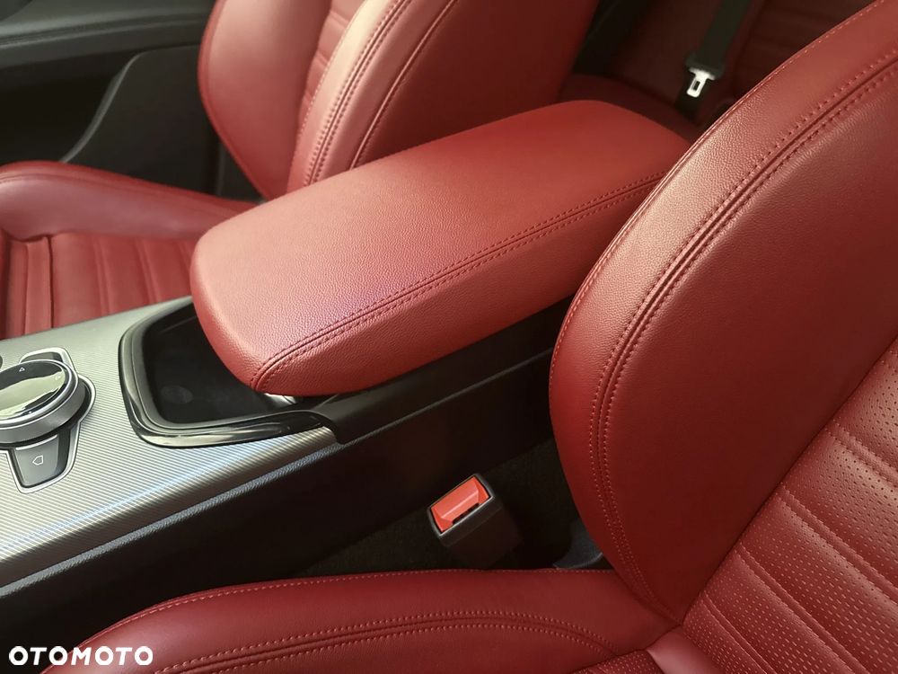 Alfa Romeo Stelvio 2.0 Turbo Veloce Q4 - 20