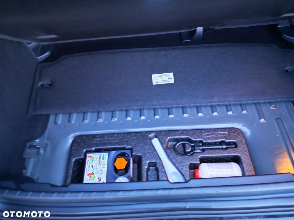 Ford EcoSport - 23
