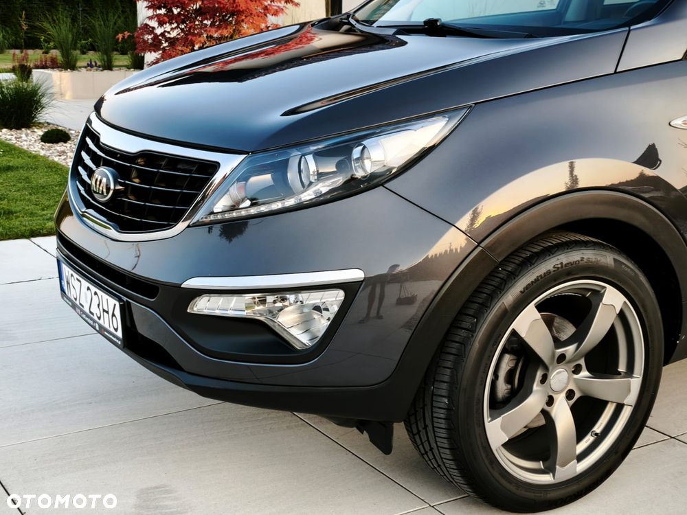 Kia Sportage - 28