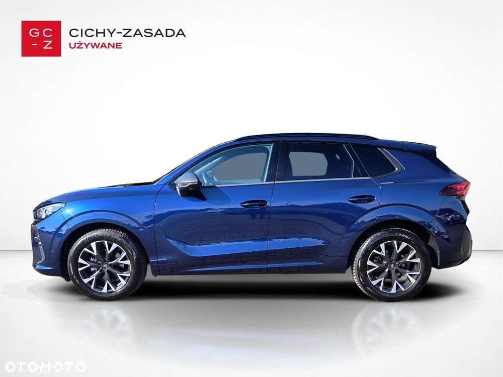 Cupra Terramar - 2