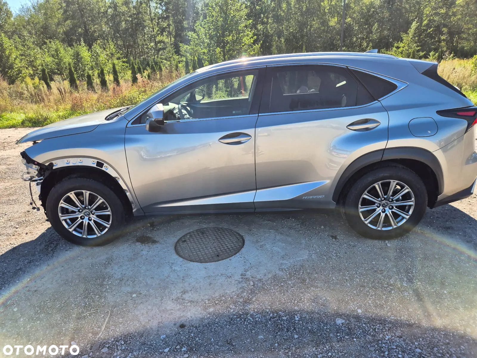 Lexus NX 300h - 10