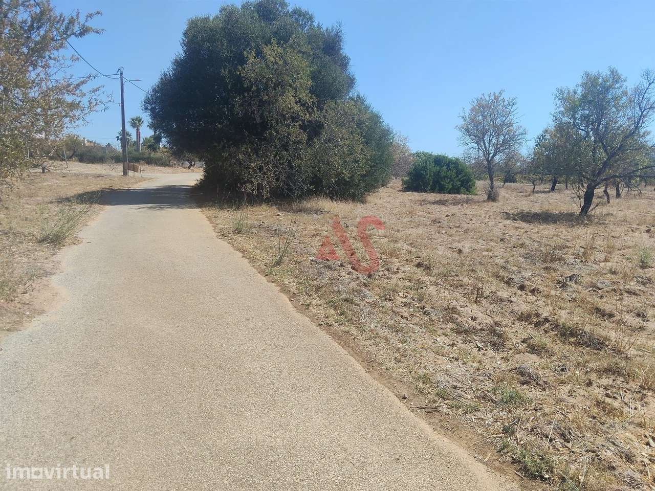 Terreno Rústico com 10.590 m² em Vale da Ursa, Guia – Albufeira - Grande imagem: 2/7