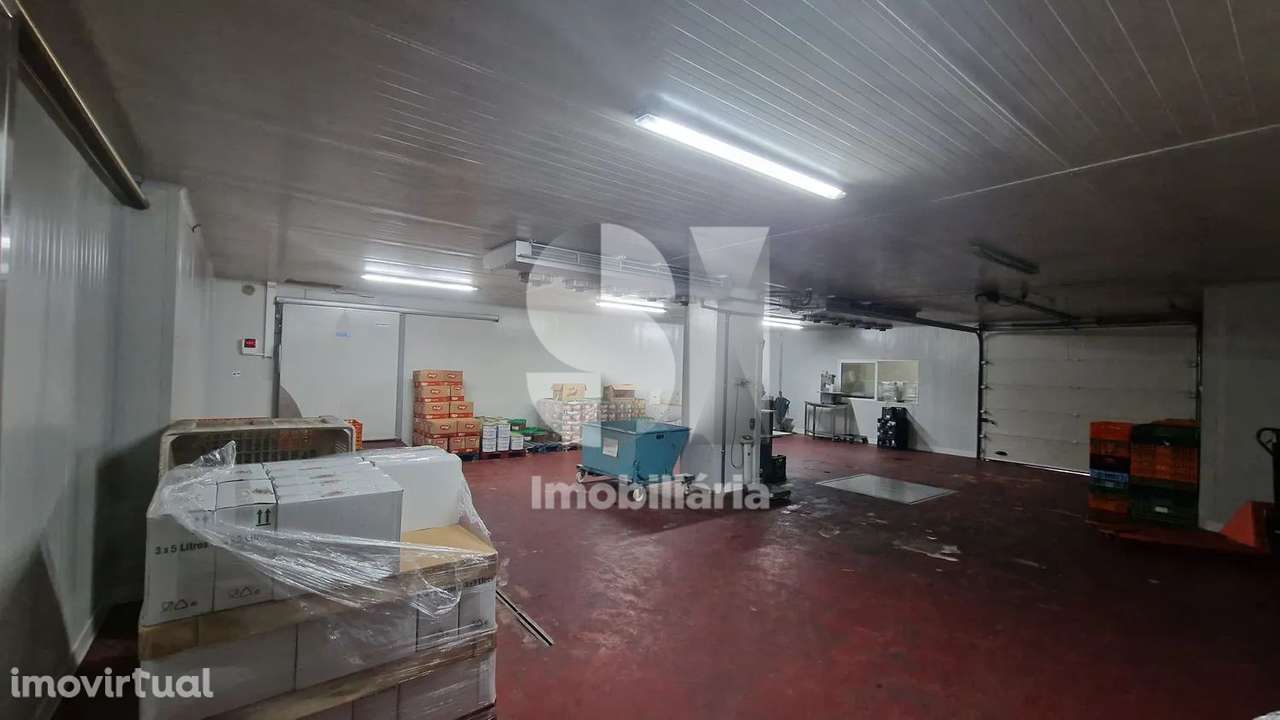 Armazém | câmara de frio e congelação | Rebordosa | Paredes - Grande imagem: 3/16