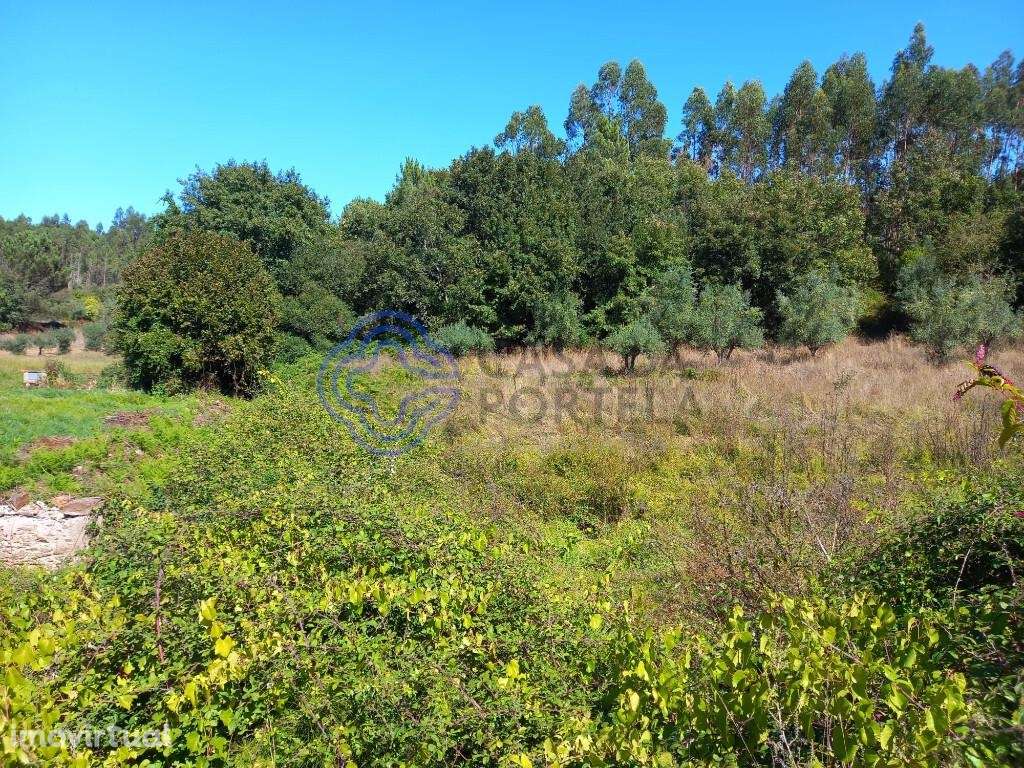Terreno agrícola com uma ribeira a 10 minutos de Dornes - Grande imagem: 3/16