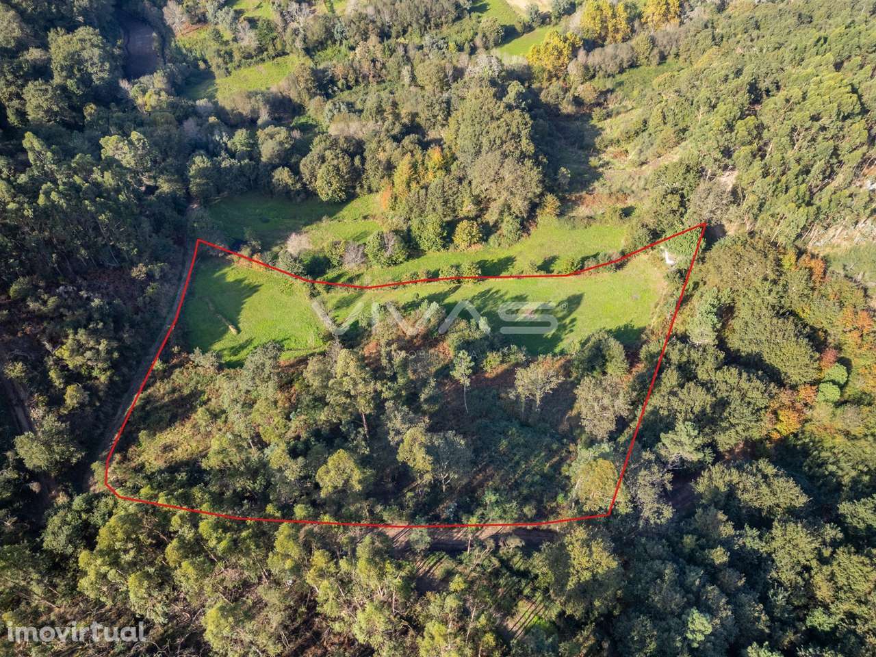 Terreno agrícola em Penascais, Vila Verde - Grande imagem: 4/13