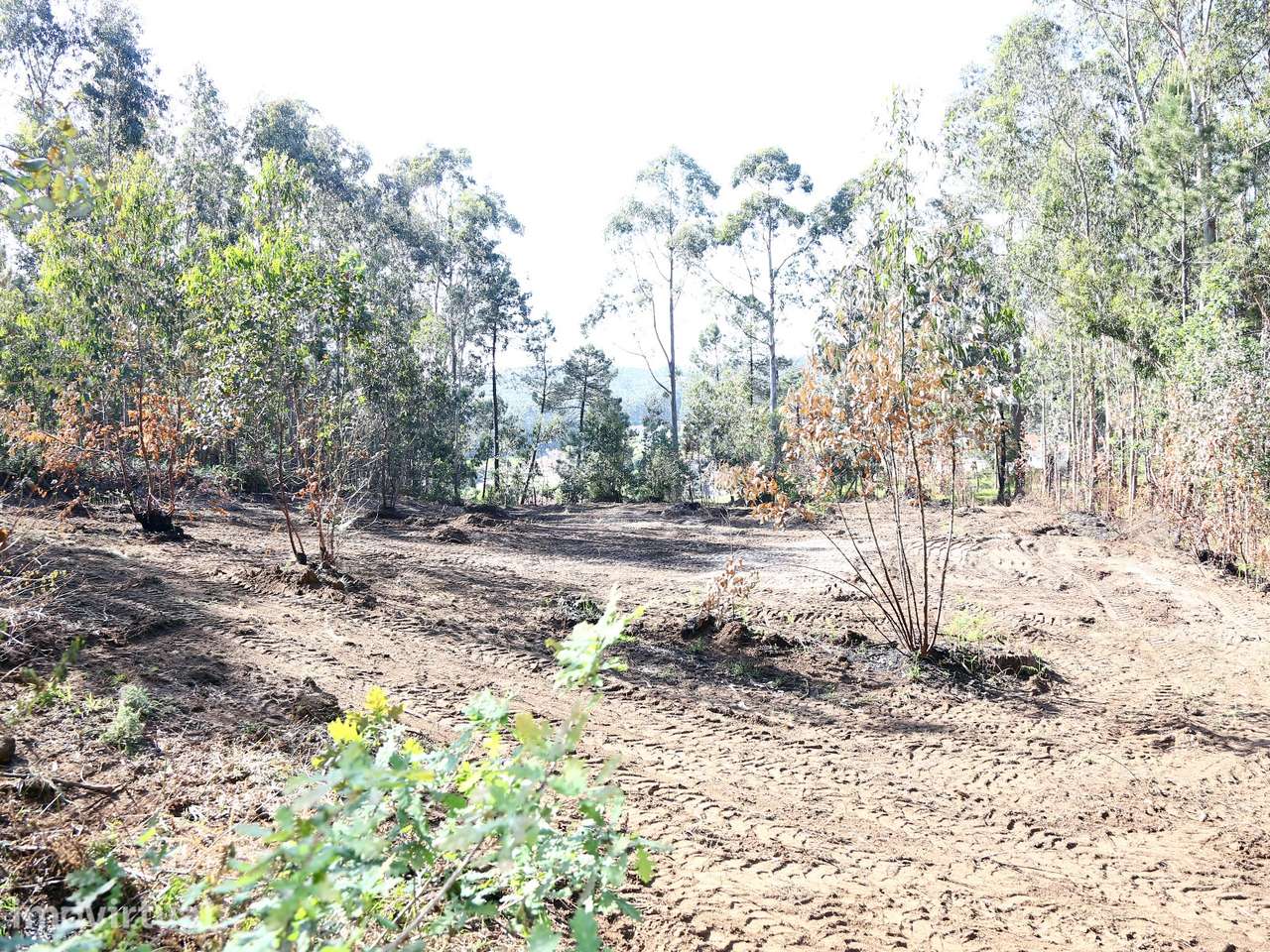 Terreno Para Construção  Venda em Lustosa e Barrosas (Santo Estêvão),L - Grande imagem: 4/5