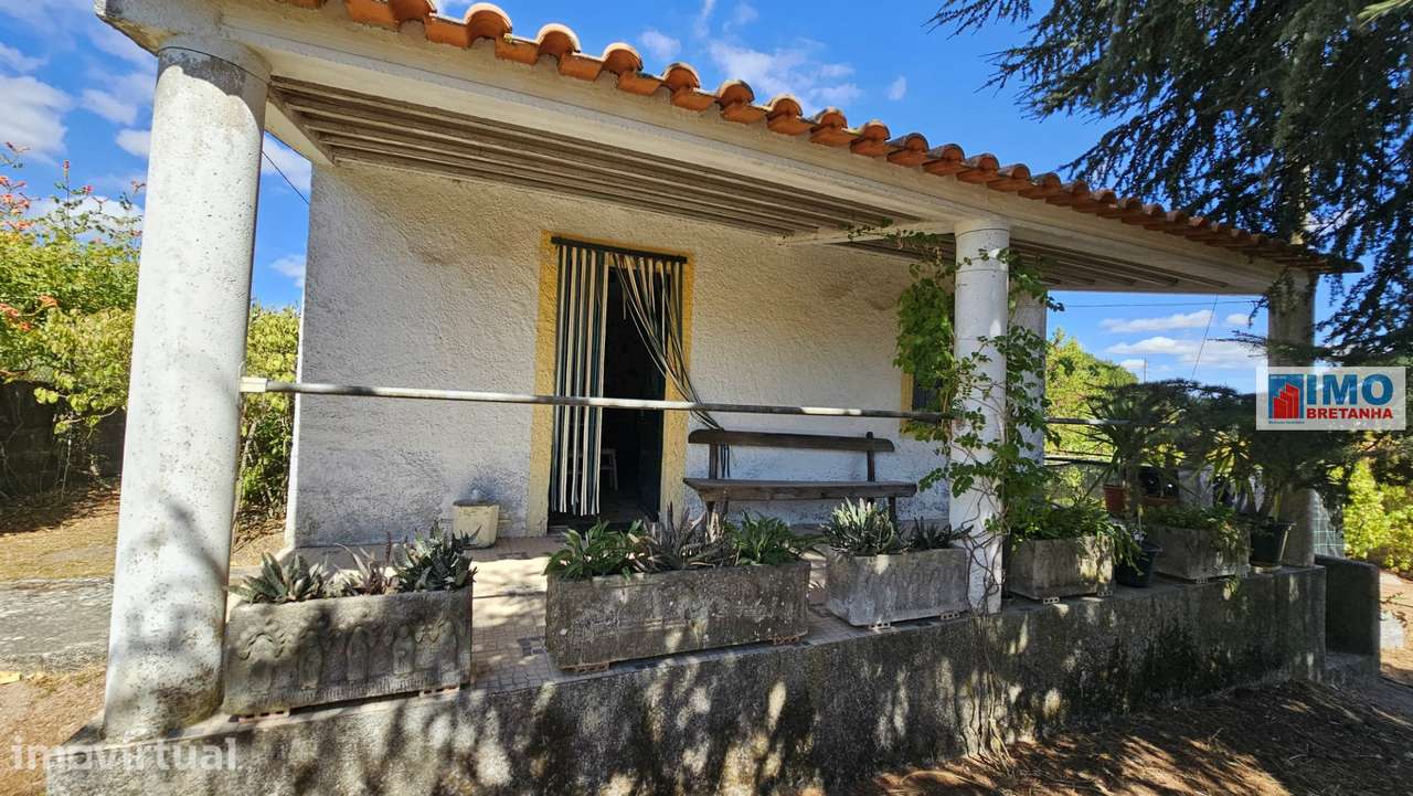 Quinta em Alvarcões  - Castelo Branco - Grande imagem: 4/40