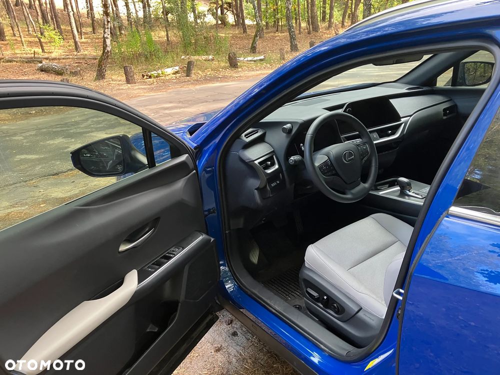 Lexus UX 300h - 16