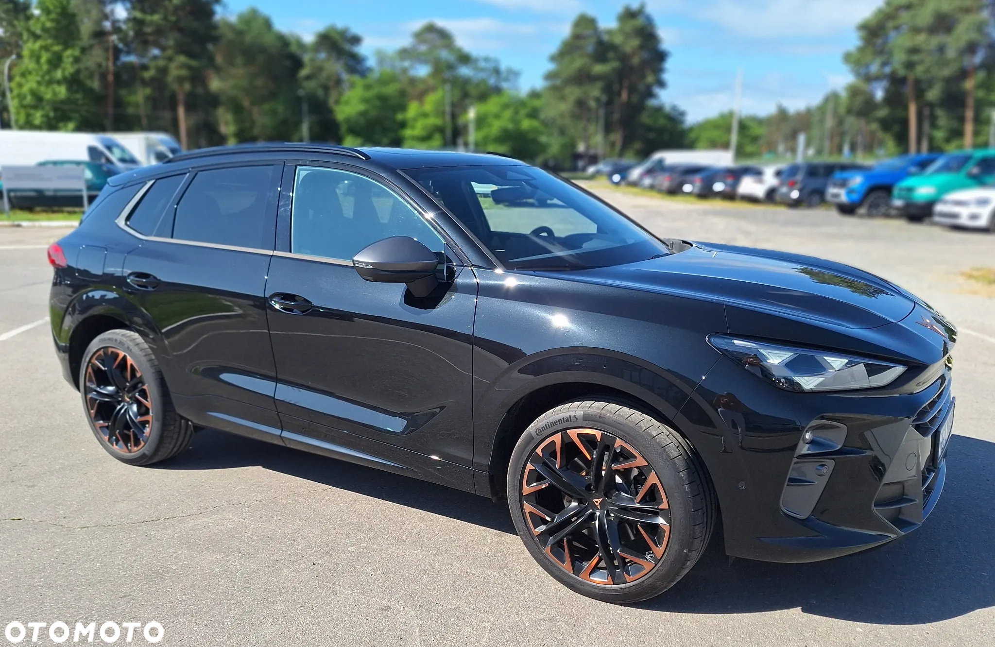 Cupra Terramar 2.0 TSI 4Drive DSG VZ - 3