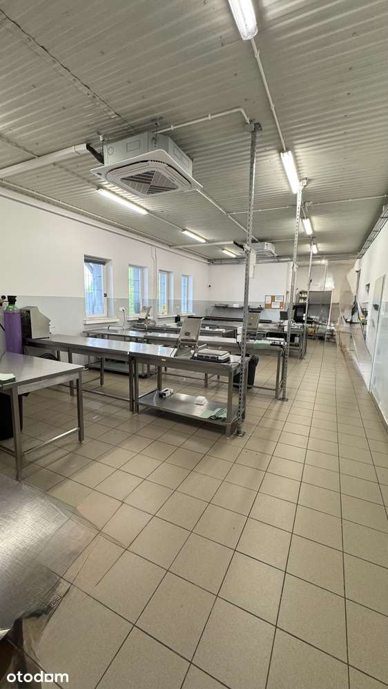 GOTOWY ZAKŁAD PRODUKCJI | 390 m² | DZIAŁKA 2700 m² | PRZY S5 - Pełny obrazek: 5/19